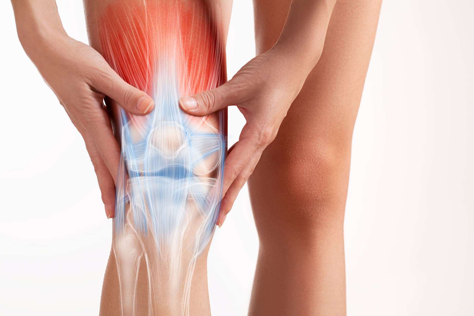 A close-up of a knee being gripped due to pain, with a digital overlay highlighting the bones and muscles.
